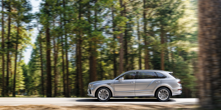 Bentley Surrey Bentley Bentayga Extended Wheelbase SUV in Moonbeam paint driving dynamically on a forest road